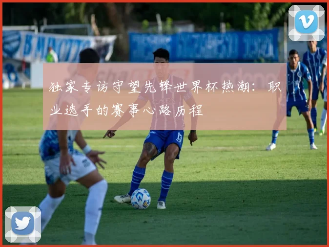 独家专访守望先锋世界杯热潮：职业选手的赛事心路历程