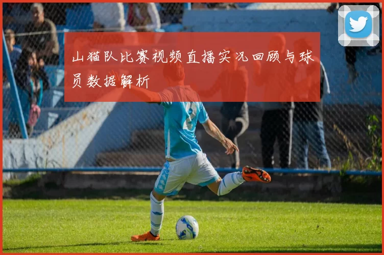 山猫队比赛视频直播实况回顾与球员数据解析