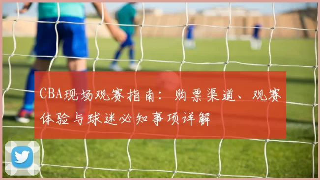 CBA现场观赛指南：购票渠道、观赛体验与球迷必知事项详解