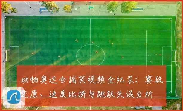 动物奥运会搞笑视频全纪录：赛段还原、速度比拼与跳跃失误分析