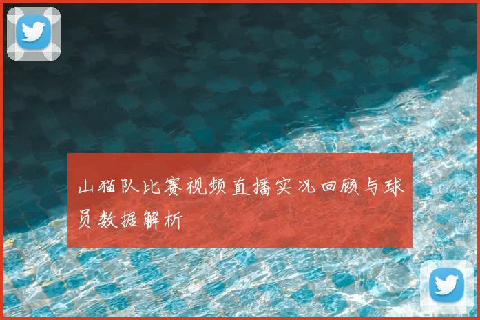 山猫队比赛视频直播实况回顾与球员数据解析