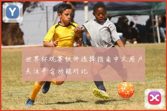 世界杯观赛软件选择指南中文用户关注平台功能对比