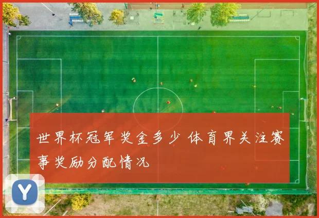 世界杯冠军奖金多少 体育界关注赛事奖励分配情况