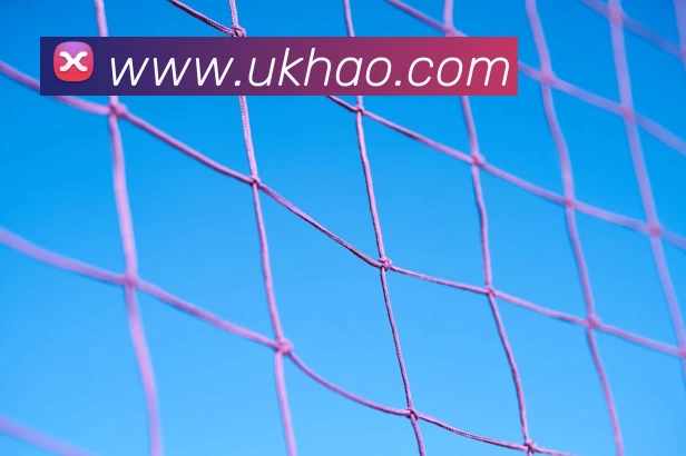 星空网官网免费入口APP 封面图